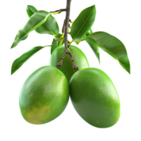 AI generated 3D Rendering of a Green Mango with Leaves on Transparent Background - Ai Generated png