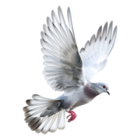 AI generated 3D Rendering of a Flying Dove on Transparent Background - Ai Generated png