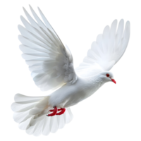 AI generated 3D Rendering of a Flying Dove on Transparent Background - Ai Generated png