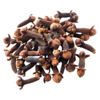 AI generated 3D Rendering of a Dry Cloves on Transparent Background - Ai Generated png