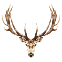 AI generated 3D Rendering of a Deer Horns on Transparent Background - Ai Generated png