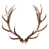 AI generated 3D Rendering of a Deer Horns on Transparent Background - Ai Generated png