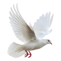 AI generated 3D Rendering of a Flying Dove on Transparent Background - Ai Generated png