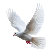 AI generated 3D Rendering of a Flying Dove on Transparent Background - Ai Generated png