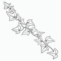 Floral ivy drawing decorative ornament flat design. vector