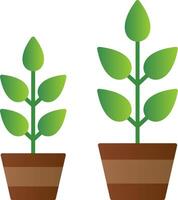 Grow Plant Flat Gradient  Icon vector