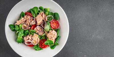 tuna salad, tomato, green leaf lettuce, onion healthy eating cooking appetizer meal food snack on the table copy space food background rustic top view photo