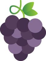 zinfandel uvas plano degradado icono vector