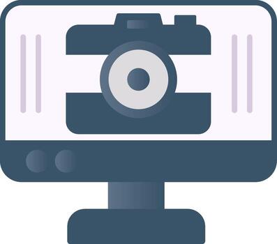 Camera Flat Gradient  Icon vector