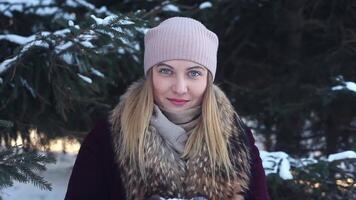 lento movimiento. invierno muchacha. un niña es invierno. belleza alegre modelo niña teniendo divertido en invierno parque. hermosa joven mujer riendo al aire libre. disfrutar naturaleza. video