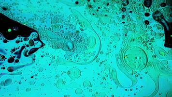 Virus cells or bacterias under microscope lens. Stock footage. Extreme close up of germs or microbes, moving microorganisms in liquid surface, medical, diseases background. video