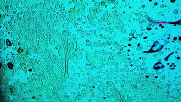 Close up of tiny bacteria under the microscope, scientific background. Stock footage. Infection, medicine, and biology concept, microorganisms and microbes on blue liquid background. video