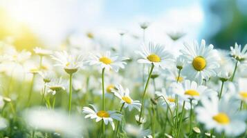 AI generated Meadow Daisies Floral background photo