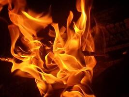 a close up of a fire with flames photo