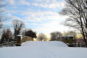 a bridge in the snow with a tree in the foreground photo