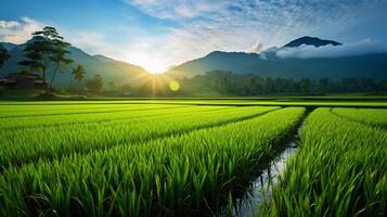 AI generated Paddy Field Nature Background photo