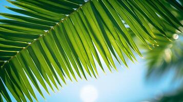 AI generated Palm Leaves in the Wind Background photo