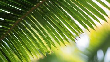 ai generado palma hojas en el viento antecedentes foto