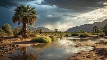 ai generado lluvioso Desierto oasis puntos de vista antecedentes foto