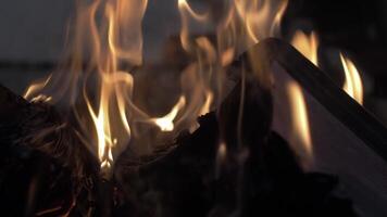 An open book burning in a fire of dry vets at night in an ancient building in oriental style video