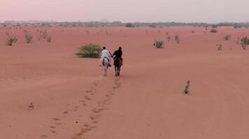 A drone flies over two horsemen riding on desert sand among green bushes video