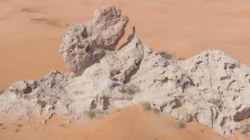 ein Drohne fliegt um ein bärtig Mann gekleidet wie ein Schamane Wer betet auf ein Cliff im das sandig Wüste von das vereinigt arabisch Emirate video