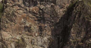 Drohne fliegt Über ein jung sportlich weiblich Bergsteiger Klettern ein schier Cliff video