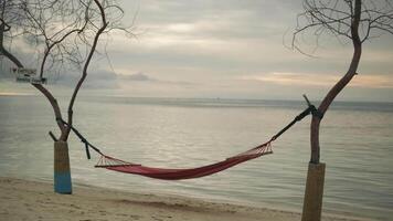 un joven hombre en ligero ropa enfoques un hamaca estirado Entre arboles en un arenoso playa de el mar. en contra el antecedentes de Oceano olas y nublado cielo. Maldivas. video