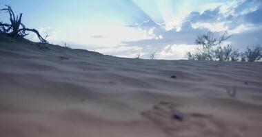 fermer de une le sable dune avec herbe contre une nuageux ciel à le coucher du soleil video