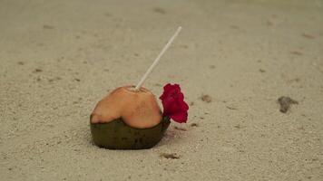 A coconut with an inserted tube and a flower lies on the sand on the seashore. Waves of surf wash the shore. video