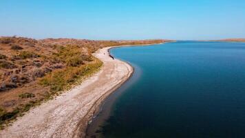 ein Herde von Pferde auf das Ufer von See Aydarkul. video