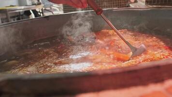 Koch mischt Fleisch Suppe mit Gemüse im ein groß Kessel mit ein geschlitzt Löffel video