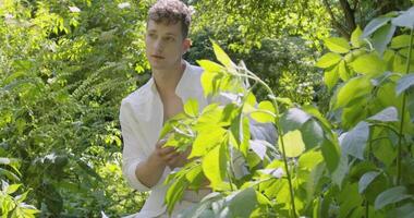 Young man stands in the garden among green leaves video