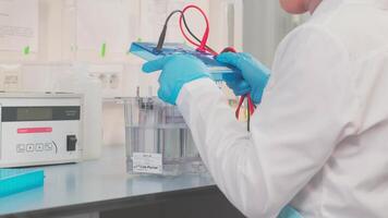 Work on samples of substances is carried out in the laboratory video