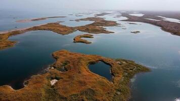 Drone flight over the islands covered with reeds video