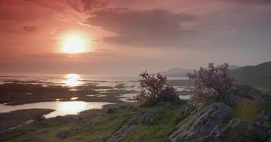 Tranquil lake surrounded by traffic and bushes under a cloudy sky during sunset video