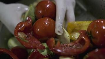 un guantes blancos cocinero revuelve vegetales cortar dentro piezas en un envase con su manos video