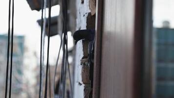 ein Taube sitzt auf das Fenster gegen das Hintergrund von ein schneebedeckt Stadt. video