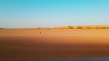 The drone shoots a man walking along a dried lake video