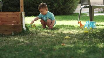 een weinig jongen in een t-shirt en zonder broek wandelingen blootsvoets Aan de gras Aan de speelplaats. video