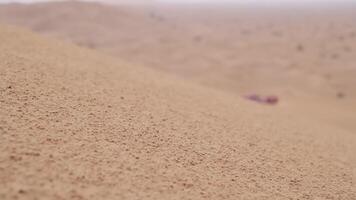 een picknick Oppervlakte tussen de woestijn zand duinen video