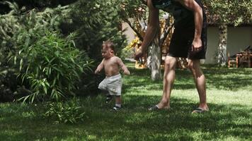 Little boy with dad and mom walking on the grass in the orchard on a sunny day video