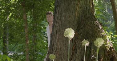 Young man comes out from behind a tree in a garden video