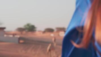 jovem mulher com grandes cabelo dentro uma azul vestir contra a pano de fundo do uma deserto e uma camelo caravana video