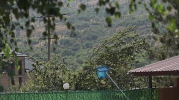 View of the summer mountains through the foliage of the tree. Sunny day video