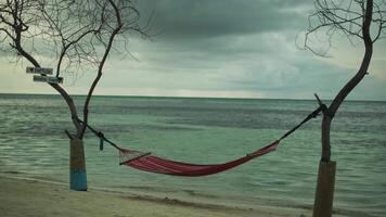 étiré hamac entre deux des arbres sur une sablonneux plage avec le mer dans le Contexte. vagues de le surf laver le rive. nuageux jour, Maldives. video