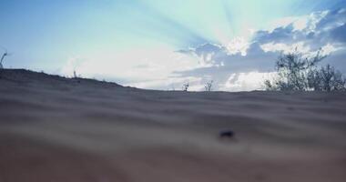 avvicinamento di un' sabbia duna con erba contro un' nuvoloso cielo a tramonto video