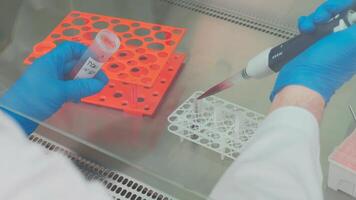 Work on samples of substances is carried out in the laboratory video