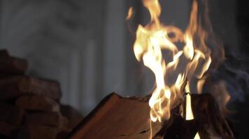 An open book burning in a fire of dry vets at night in an ancient building in oriental style video