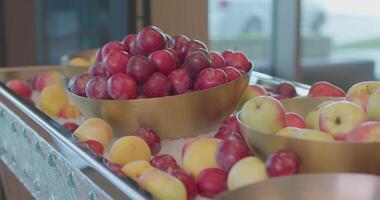 metal niebla con Fruta en un bandeja lleno con hielo en un costoso hotel. ciruelas y melocotones video